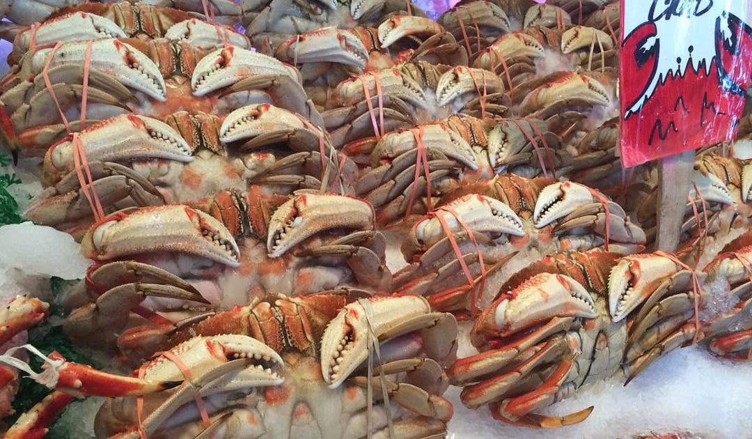 How To Properly Eat King Crab