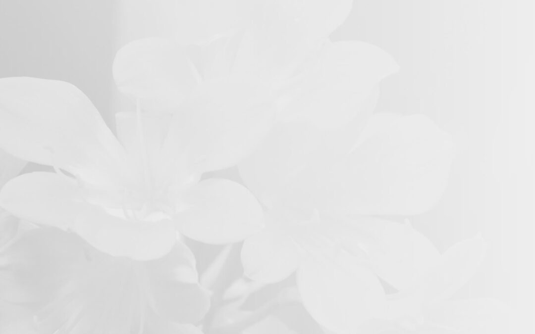 2000×1280 – background 006