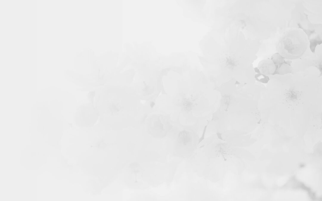 200×1280 – background 004