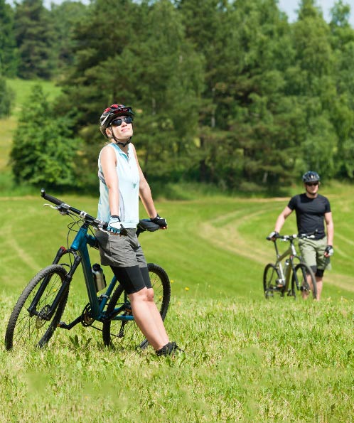 ebike
